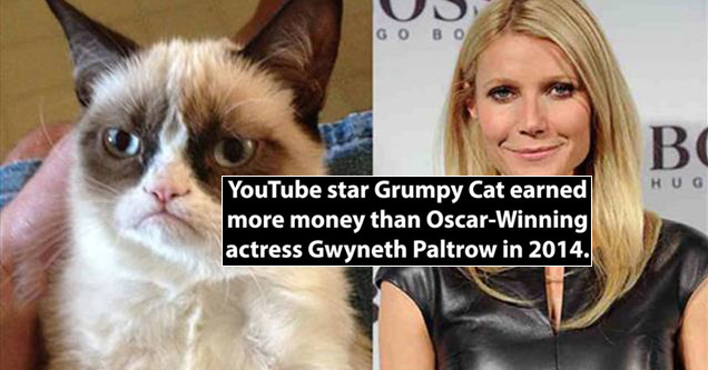 youtube star grumpy cat next to gwyneth paltrow