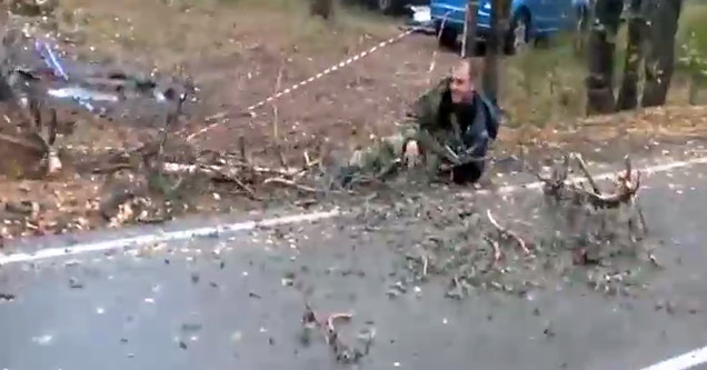 Lumberjack Nearly Killed By Falling Tree