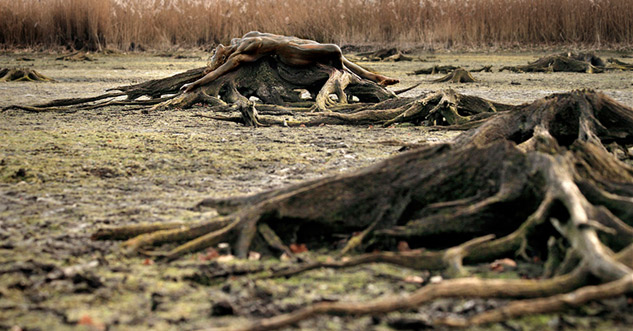 22 Naked Women Blending in With Nature