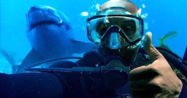 diver taking selfie without knowing shark is behind him