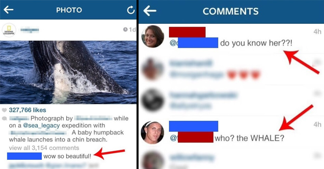 Boyfriend Likes Photo, Girlfriend Goes Nuts