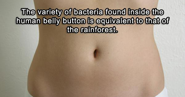 22 Amazing Facts About The Human Body