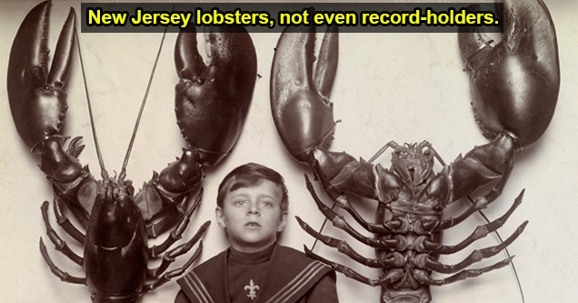 100 year old lobster