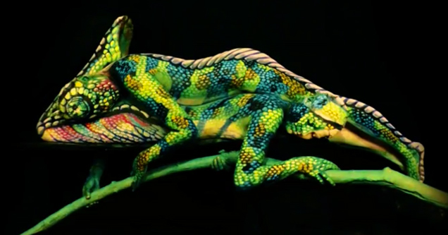 This Looks Like A Regular Chameleon, Until...