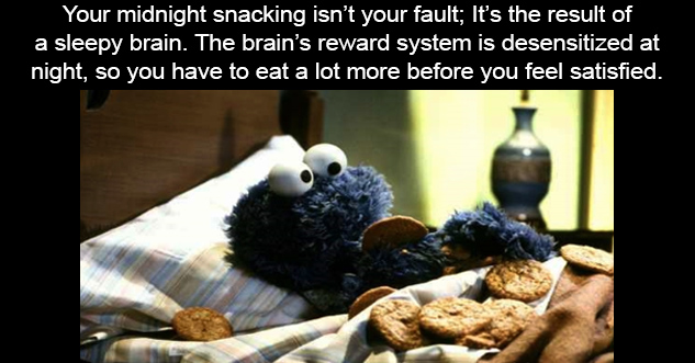 23 Interesting Facts to Impress Your Friends | you a monster in bed cookie monster - Your midnight snacking isn't your fault; it's the result of a sleepy brain. The brain's reward system is desensitized at night, so you have to eat a lot more before you f