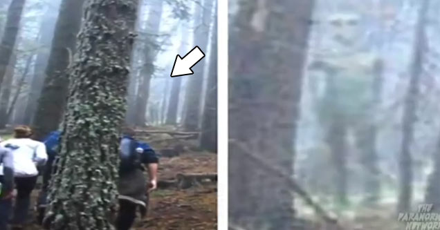 Giant Alien Spotted In Bulgarian Forest