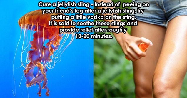 15 Uses For Vodka You May Have Never Imagined