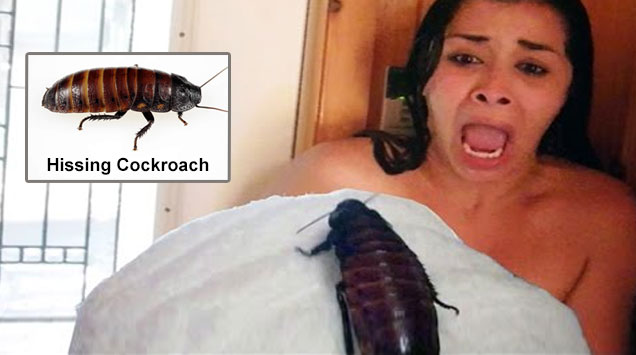 Hissing Cockroach Shower Prank On Girlfriend