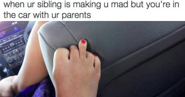 22 Pics That Sum Up Life With Siblings