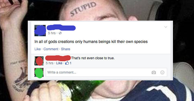 men doing stupid things meme - Stupid 5 hrs. In all of gods creations only humans beings kill their own species Comment That's not even close to true. 5 hrs 01 Write a comment...