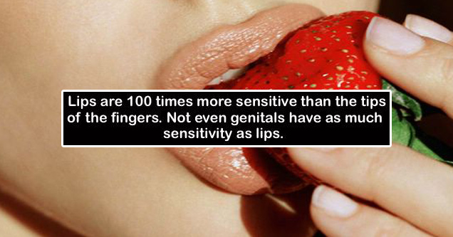 happy 18 - Lips are 100 times more sensitive than the tips of the fingers. Not even genitals have as much sensitivity as lips.