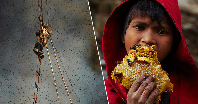 The Fearless Honey Hunters of Nepal