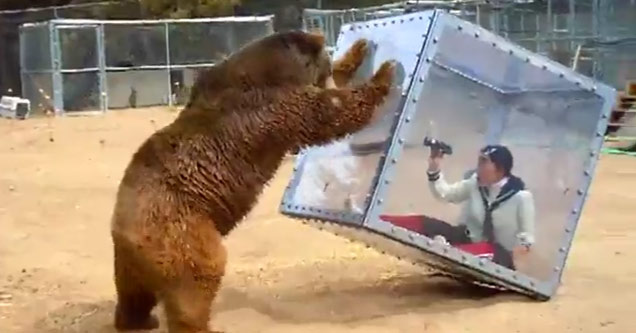 Girl Tests a Predator Shield Using An Angry Grizzly Bear