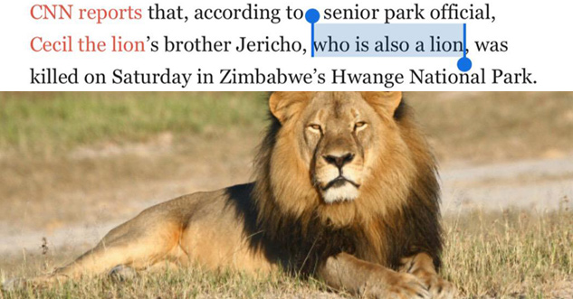 cecil the lion brother - Cnn reports that, according to senior park official, Cecil the lion's brother Jericho, who is also a lion, was killed on Saturday in Zimbabwe's Hwange National Park.