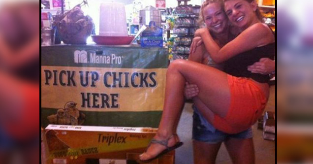 pick up chicks literally - 1. Manna Pro Pick Up Chicks Here Triplex