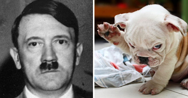 16 Things That Look Uncomfortably Like Hitler