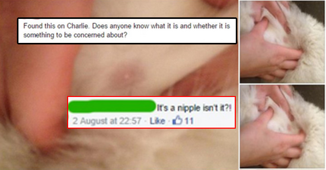 18 Facebook Fails of Epic Proportions