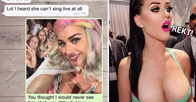 Katy Perry Rekts a Fan's Ex During Concert