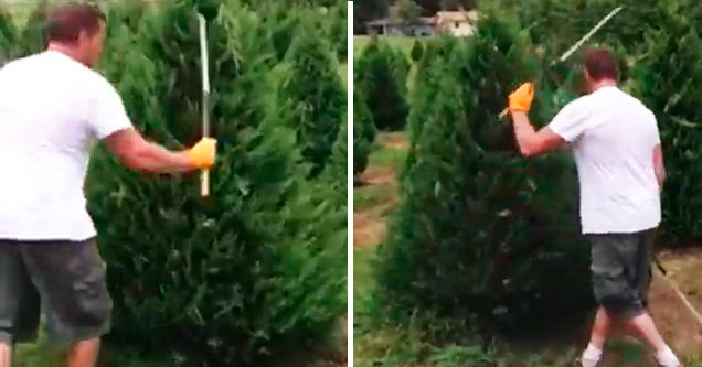 Tree Trimming Ninja Has Mad Skills