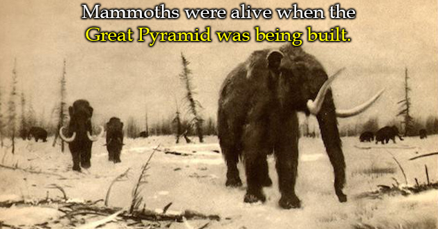 29 Facts That Sound Like Bull, But Are True