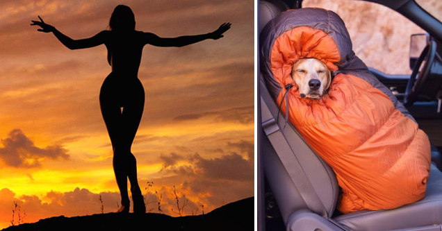 silhouette of a woman against a sunset and dog snuggled in a sleeping bag