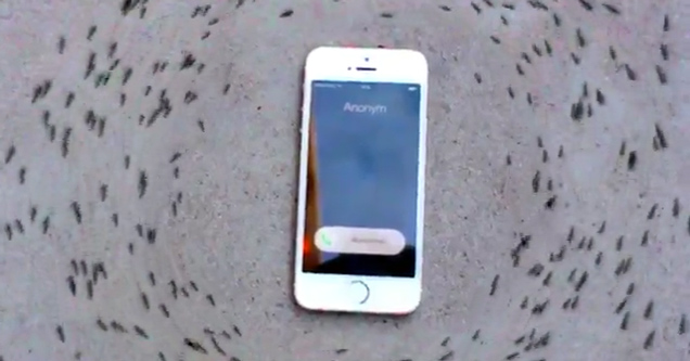 Ants Revolve Around iPhone When It Rings