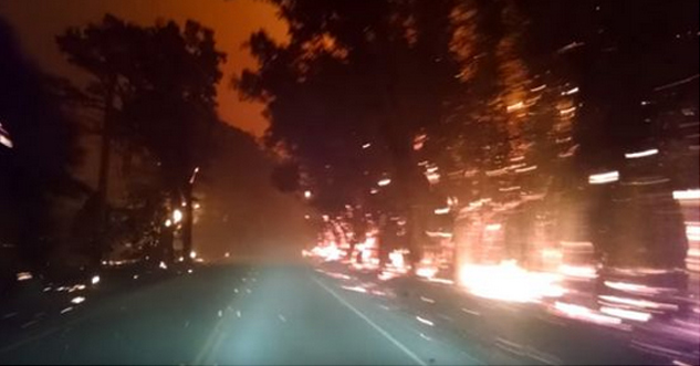 Guy Drives Through a Terrifying Forest Fire