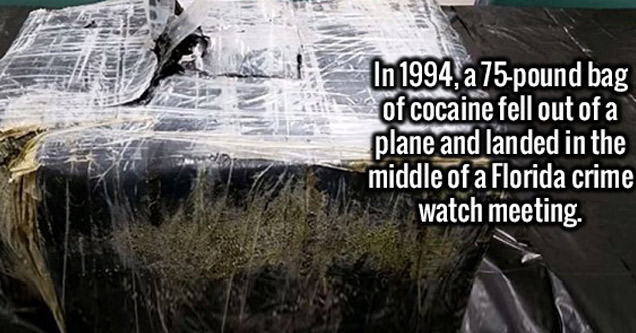 50 pounds of cocaine - In 1994, a 75pound bag of cocaine fell out of a plane and landed in the middle of a Florida crime watch meeting