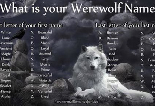 Some Guy's Wolf Name is 