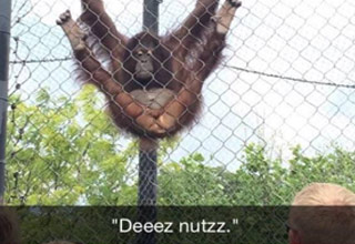 These funny Snapchats are the ultimate cure for boredom.