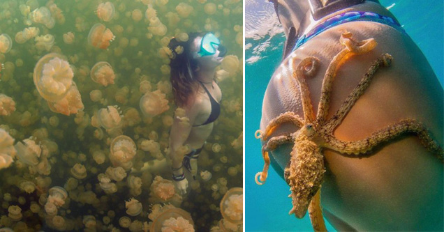 35 Things You Just Don't See Everyday