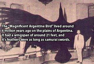 22 Odd pieces of history that were left out of the textbooks.