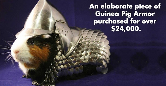 Ridicilous Items Purchased By Wealthy People