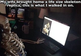 19 Funny truths about man's most important creation to date.