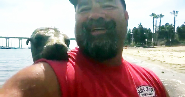 Seal Jumps On Guy's Boat and They Become Friends