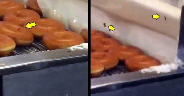 The Horrors of Krispy Kreme Doughnuts