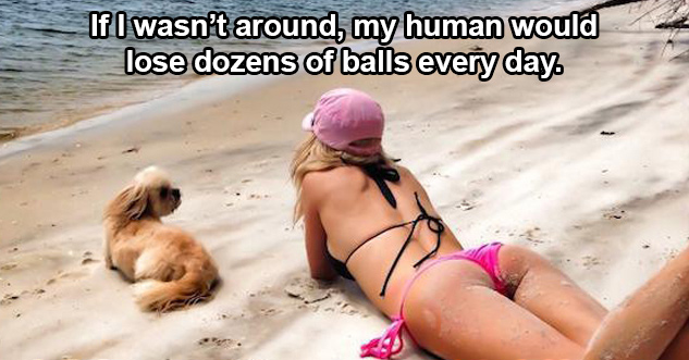 18 Dog Shower Thoughts That Actually Make Sense