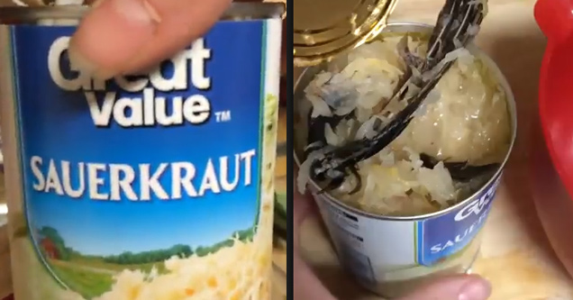 Woman Finds A Dead Bird In A Can Of Sauerkraut