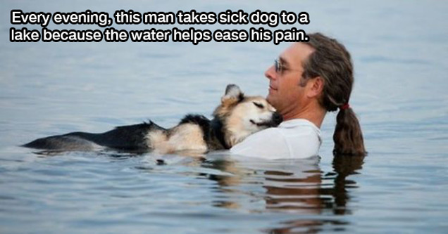 man helping dog float in water