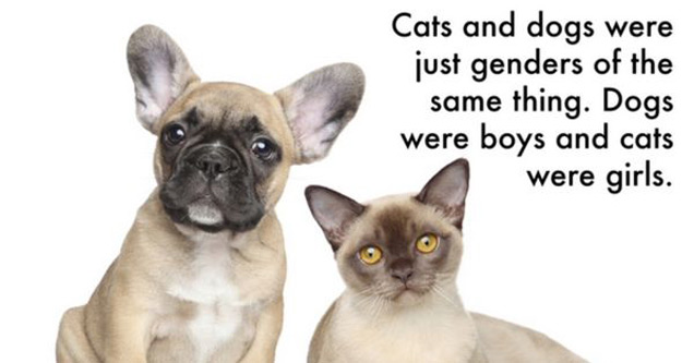 Herba Max - Cats and dogs were just genders of the same thing. Dogs were boys and cats were girls.