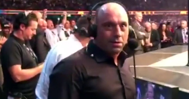 Joe Rogan's Reaction To Ronda Rousey Knockout