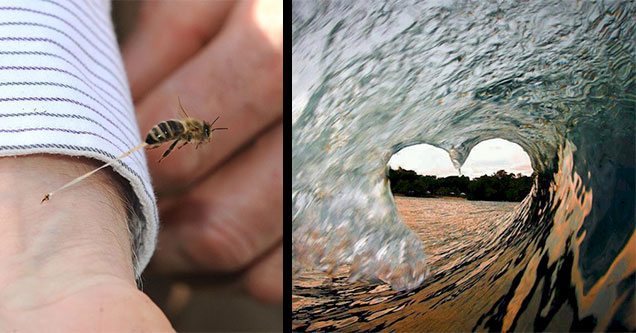 bee stinging an arm and wave in the shape of a heart