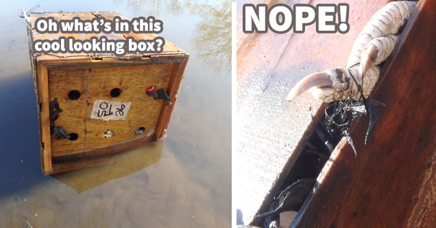 18 Photos That Make You Scream NOPE At The Top of Your Lungs