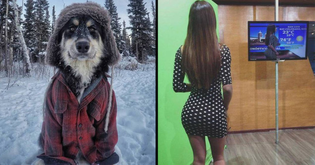 39 Random Pics For When You Need A Break