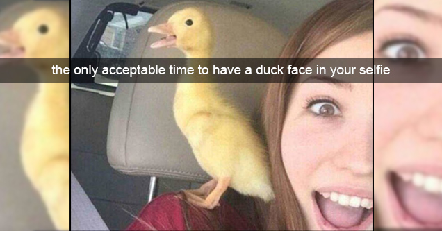 duck love meme - the only acceptable time to have a duck face in your selfie