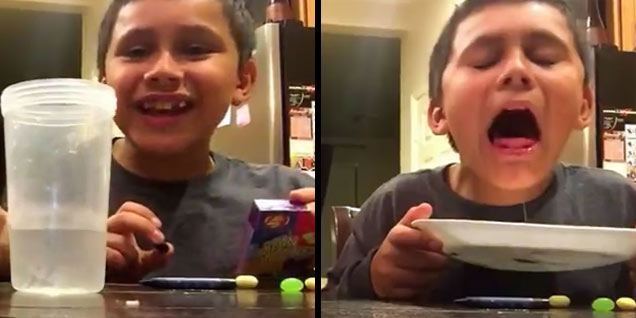 Kid Regrets Eating Skunk Spray Jelly Bean - Eww Video | eBaum's World