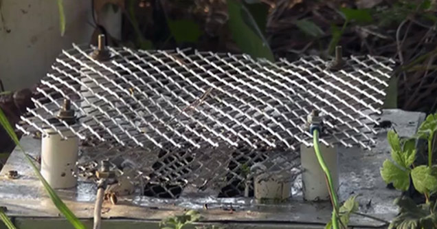 New Zealand Man Built A 5600 Volt Wasp Killer