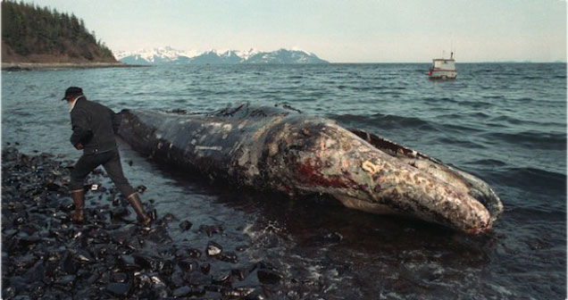 8 Shocking Environmental Disasters