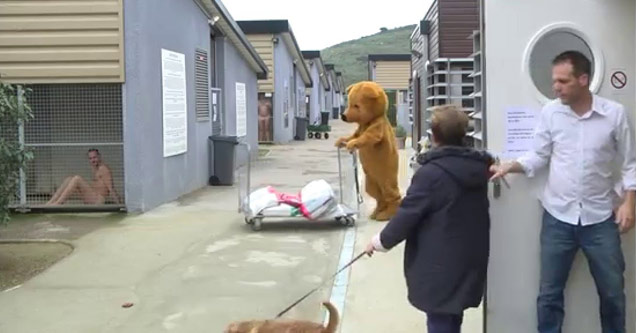 Remi Gaillard - Animal Planet