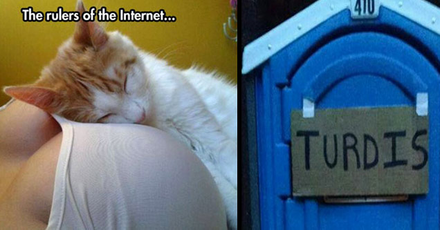 61 Awesome Pics To Boost You Into The Weekend